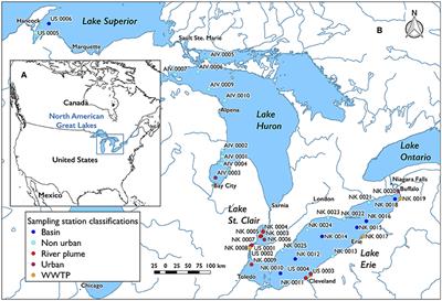 Distribution and Modeled Transport of Plastic Pollution in the Great Lakes, the World's Largest Freshwater Resource